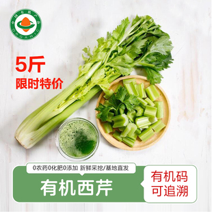 有机西芹 露天种植无农残榨汁专用芹菜蔬菜沙拉菜顺丰发货