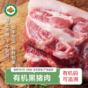 云南有机黑猪肉 散养密架山猪排骨猪肝猪肚五花肉新鲜现杀土猪肉