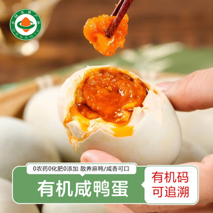 有机咸鸭蛋 熟咸鸭蛋流油黄熟麻鸭蛋咸淡适中正宗