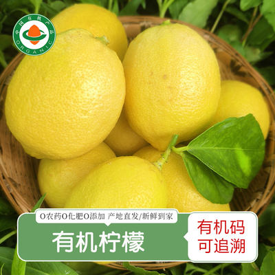 2025年新上市有机黄柠檬 尤力克黄柠檬