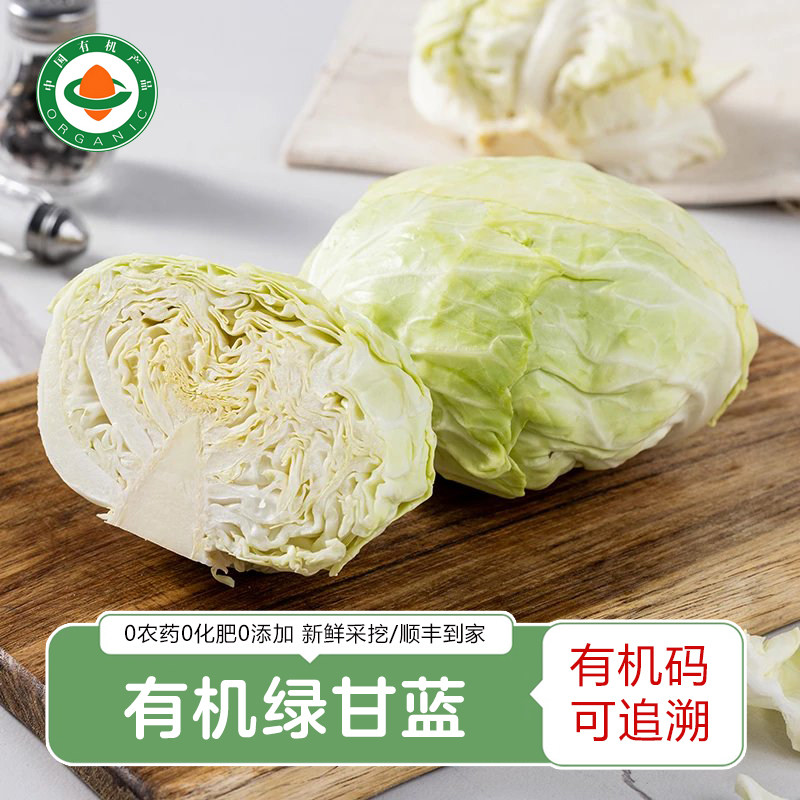 有机绿甘蓝 新鲜采摘卷心菜牛心菜绿包菜平包菜圆白菜顺丰快递