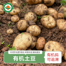高原新鲜采挖有机黄土豆马铃薯 云南有机土豆5斤