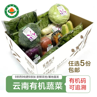 云南新鲜有机蔬菜 高原自然熟番茄有机菜青菜蔬菜沙拉配送5份包邮