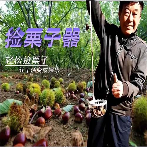 捡栗子神器捡板栗神器工具不锈钢伸缩杆捡果拾果器夹子坚果收集器