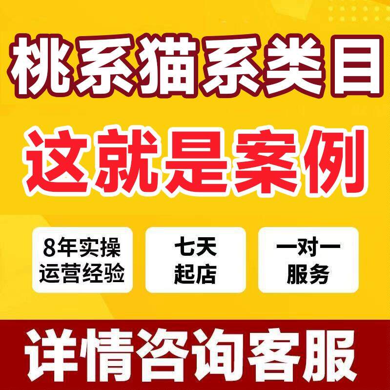 2026淘宝店铺天猫网店代营运代运营上钻新店托管专业团队推广平台