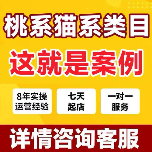 2026淘宝店铺天猫网店代营运代运营上钻新店托管专业团队推广平台