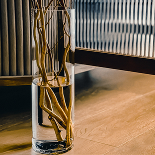 龙柳花瓶玻璃透明高款插花长枝高身高筒超高405060cm落地龙柳鲜枝