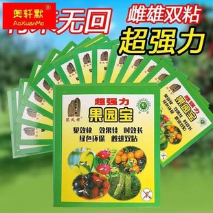 果园宝果蝇诱粘蝇板瓜果实蝇桔小实蝇针蜂害虫苍蝇黏胶20张600张