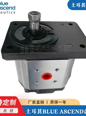 土耳其BLUE ASCEND齿轮泵AP30.170/220/270/320/340/380/430R油泵