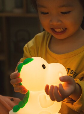 JOJOS L. PD.Winter.小夜灯恐龙硅卡通可爱调光拍拍灯  三冬