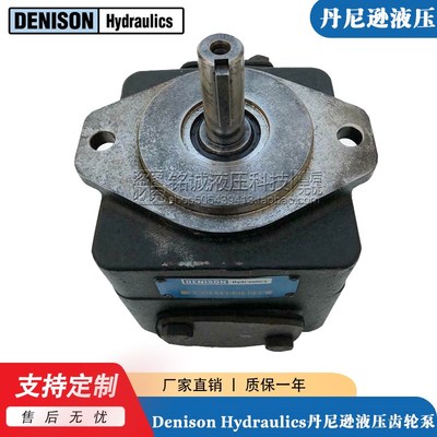 Denison Hydraulics叶片泵T6C/T6D/T6E-022/03/05/06-1R00-C1油泵