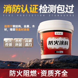 耐高温防火漆木材木板防火涂料透明液体自喷阻燃液饰面型地毯布料