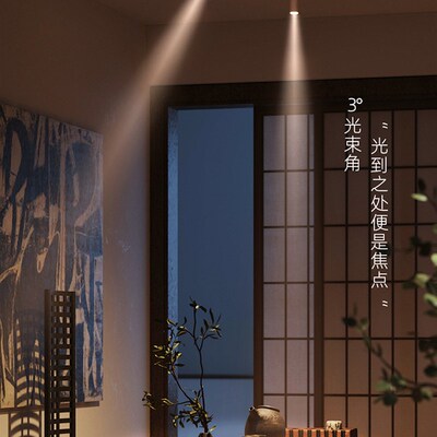 迷你聚光表面安装可调变焦3~60小角度餐厅入口大气筒灯