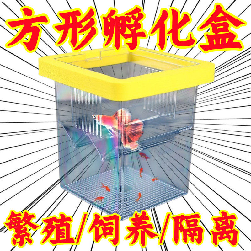 亚克力观赏鱼悬浮隔离盒孔雀鱼斗鱼孵化繁殖孵化器隔离盒