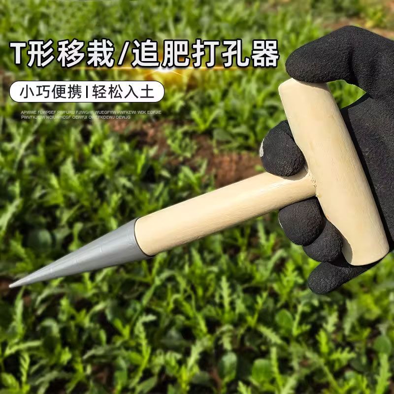 花园种菜播种打洞器移苗追肥不锈钢育苗菜籽多肉种苗播籽工具神器