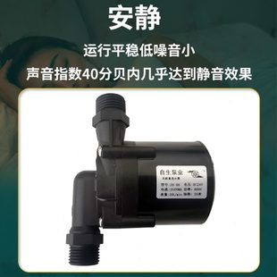 潜水抽水泵 12V24V无刷直流超静音耐高温耐腐蚀微型循环增压插管式