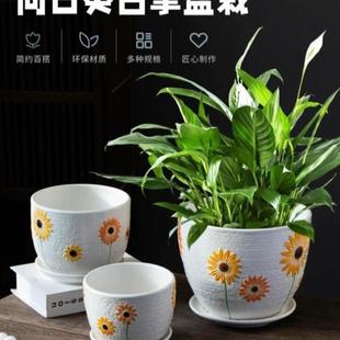 新疆 向日葵圆口大口径陶瓷盆家用室 包邮 创意白掌专用植物花盆个性