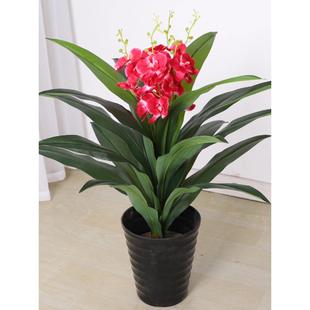 仿真植物兰花假树蝴蝶兰塑料花落地盆栽室内客厅家居盆景绿植花艺