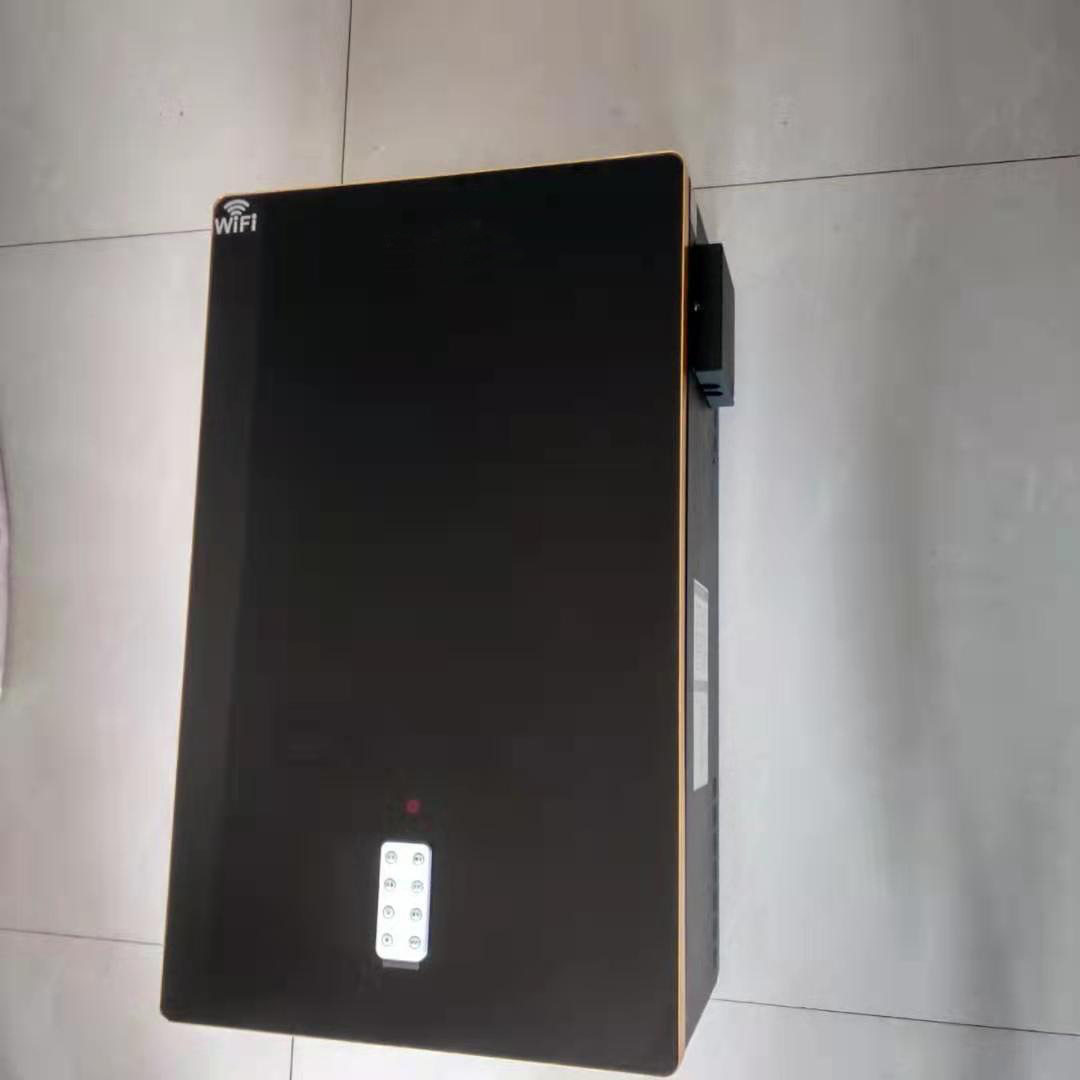 匠奥大功率2个水泵循环采暖洗浴两用电壁挂炉24KW供暖240平米