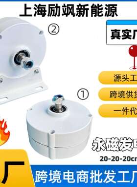 厂家直销100W12v24v家用三相交流永磁同步发电机