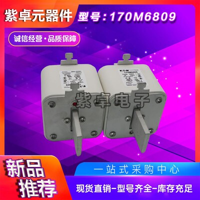 170M6237 170M6256全新Bussmann熔断器 保险丝