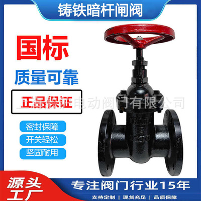 Z41T-10/16Q明杆闸阀 铸铁法兰铜芯闸阀 DN50 65 80 100 200 300