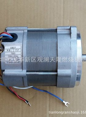 销售R.B.L.牌172T 7693 150W利雅路G20LC燃烧机电机马达
