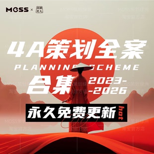 2025年品牌营销策划全案4A广告策略活动策划方案宣传推广模板ppt