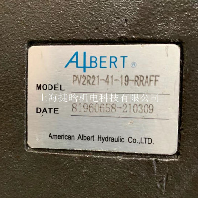 ALBERT叶片泵T6CCW-017-008-2R01-C100 油泵 ABT2-125-2L02-B50Z
