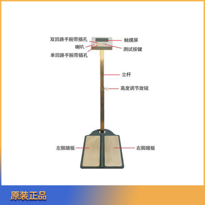 人体静电接地测试仪SLD-T100S-T100B手腕带工鞋SLD697E接地测试仪