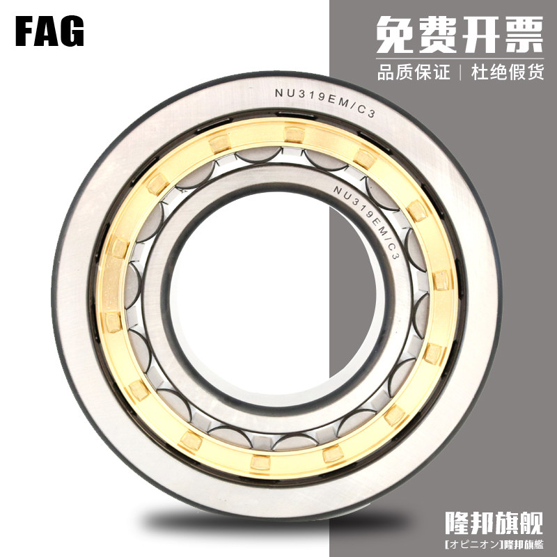 德国FAG进口轴承 N217 N218 N219 N220 N221E.M1 E.TVP2 .C3