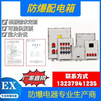 防爆配电箱接端子箱检按钮动开关箱照明修线XWX配电动力控启制柜