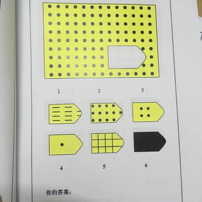 瑞文联合测验 CRT全自动联合型瑞文I测验  智商测验 纸质版