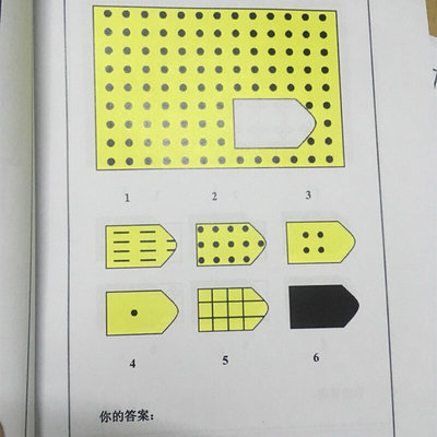 瑞文联合测验 CRT全自动联合型瑞文I测验  智商测验 纸质版