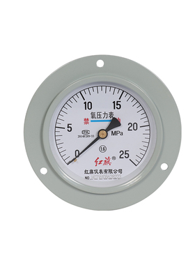 红旗仪表氧气专用YO-100ZT轴向带边氧气压力表禁油压力表测氧专用