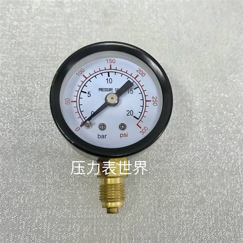 出口型压力计 压力表 压力显示表 y-40 0~20bar 0~300psi G1/8