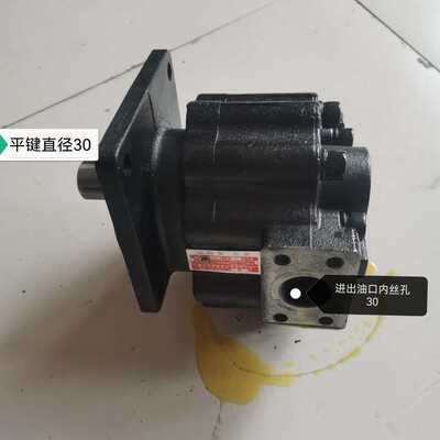 山东小型装载机铲车鲁工2063左平齿轮油泵工作泵大泵