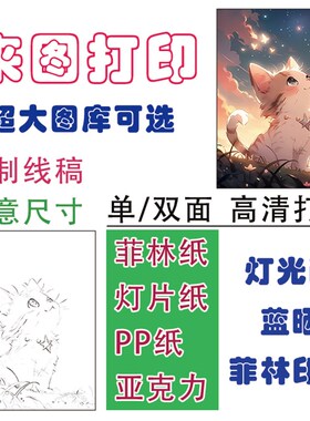 代打印菲林胶片PP纸单双面灯光画替换画芯蓝晒反转片灯箱片流麻