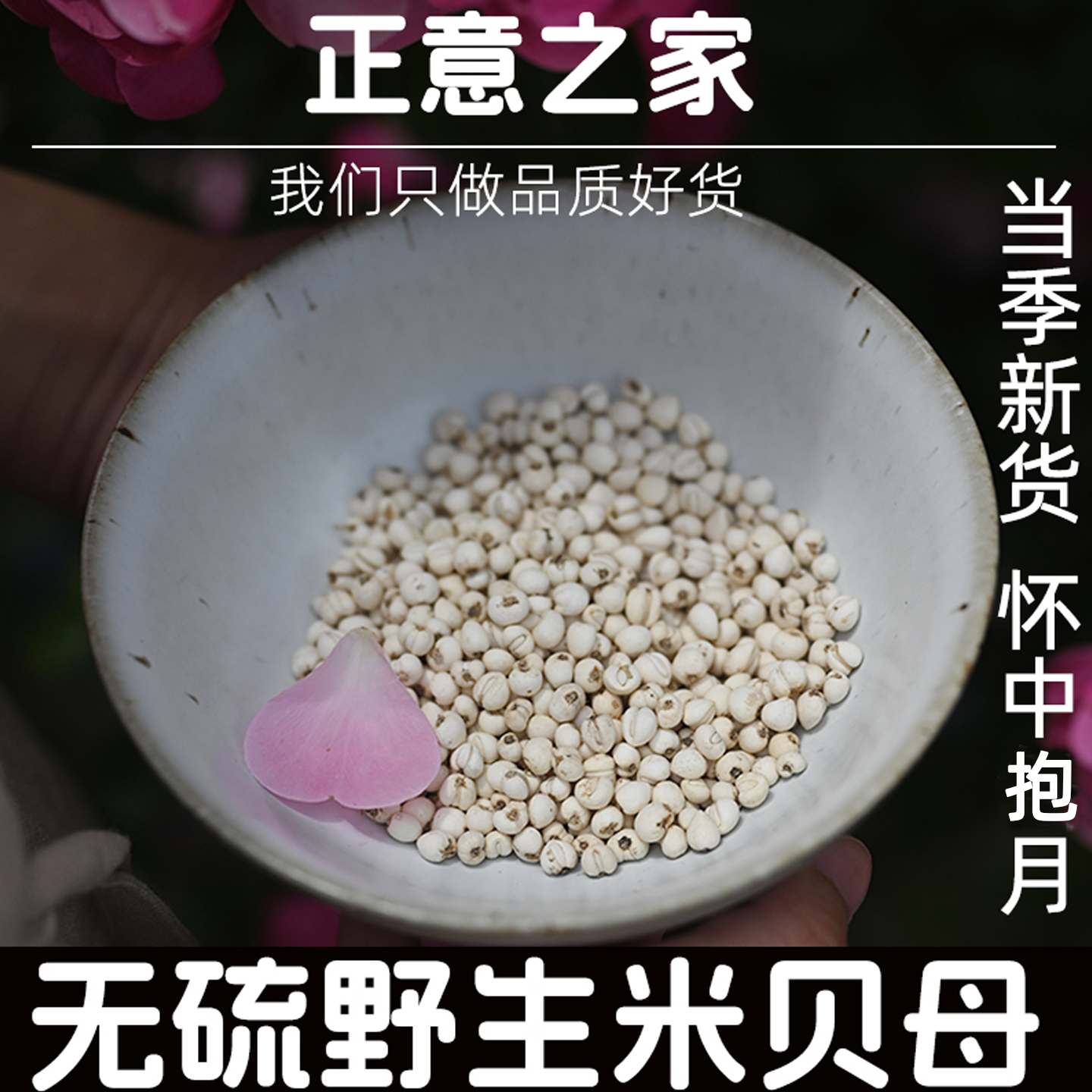 正意之家阿坝甘孜野生米贝母