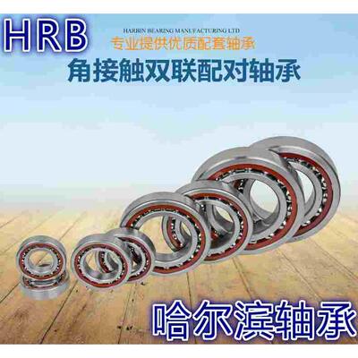 哈尔滨轴承7007 7008 7009 7010 7011 7012 7013AC/C/DB/P4/P