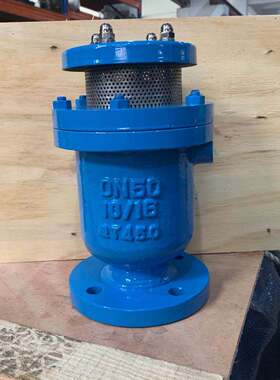 复合式排气阀CARX-16 DN50-DN200   FGP4X 带不锈钢微量排气阀