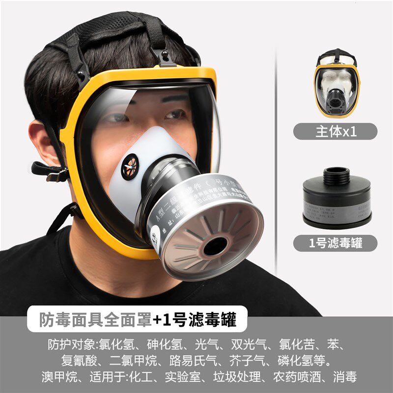 德国防毒面具全面罩实验室化工厂有毒化工气体专用喷漆自吸过滤式