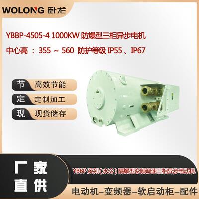 YBBP-4505-41000W防爆型三相异步电机中心高：355～560