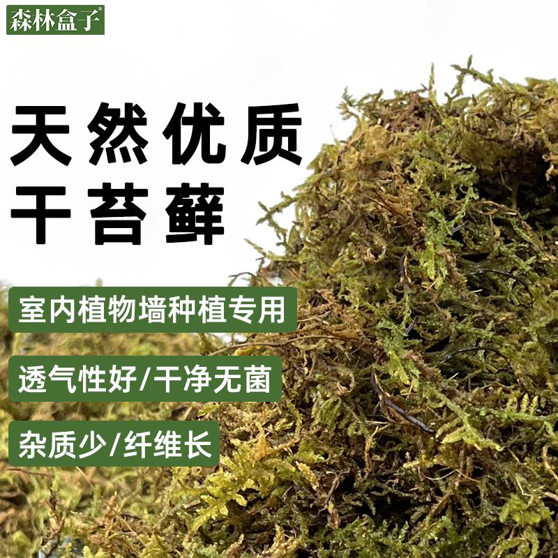厂家直供优质干苔藓压缩水苔室内植物墙栽培基质蝴蝶兰微景观水苔