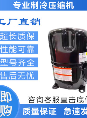 原装冷库泰康制冷压缩机AG133UT-003-A4/AGA5561EXG