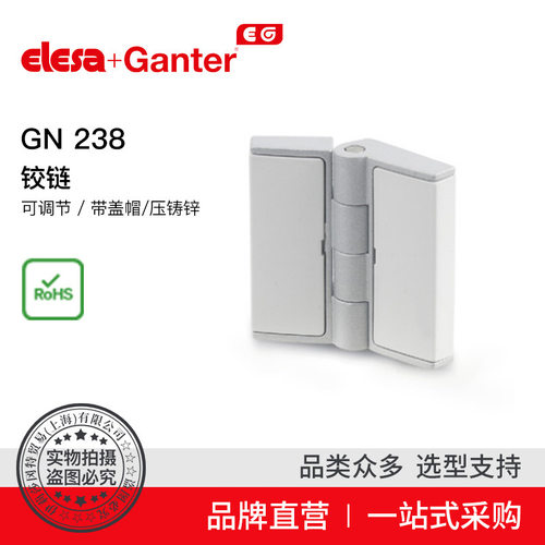 伊莉莎冈特GN238可调压铸锌管件