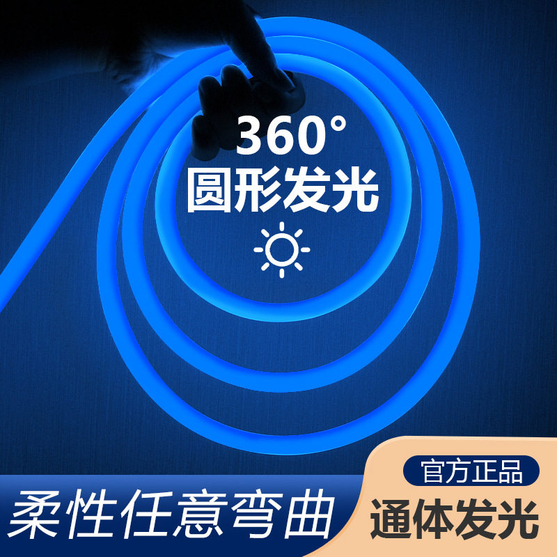 蓝光圆形灯带220V超亮户外防水