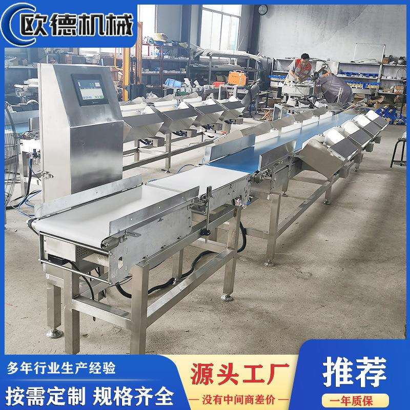 重量分拣机鲳鱼称重分选机自动称重分选机设计安装鱼分选机