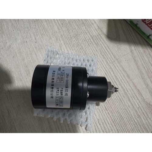 吴忠仪表ZPA-S06保卫阀ZPA-D06ZPA-D10ZPA-S10