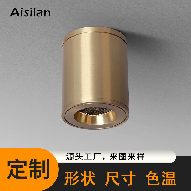 爱斯兰LED明装筒灯全铜防眩客厅家用天花简灯射灯过道玄关走廊 7W
